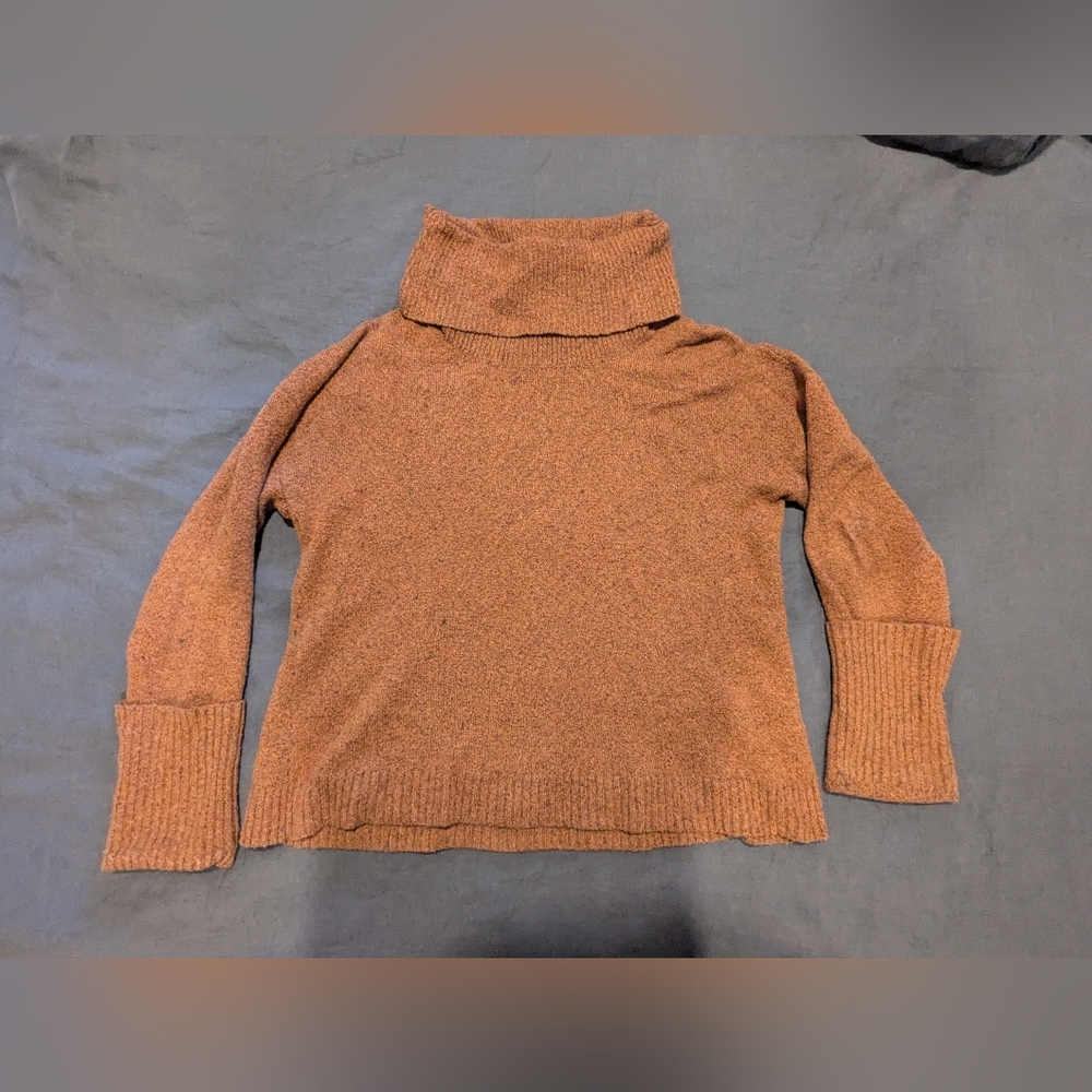 Tresure & Bond Turrle Neck Sweater